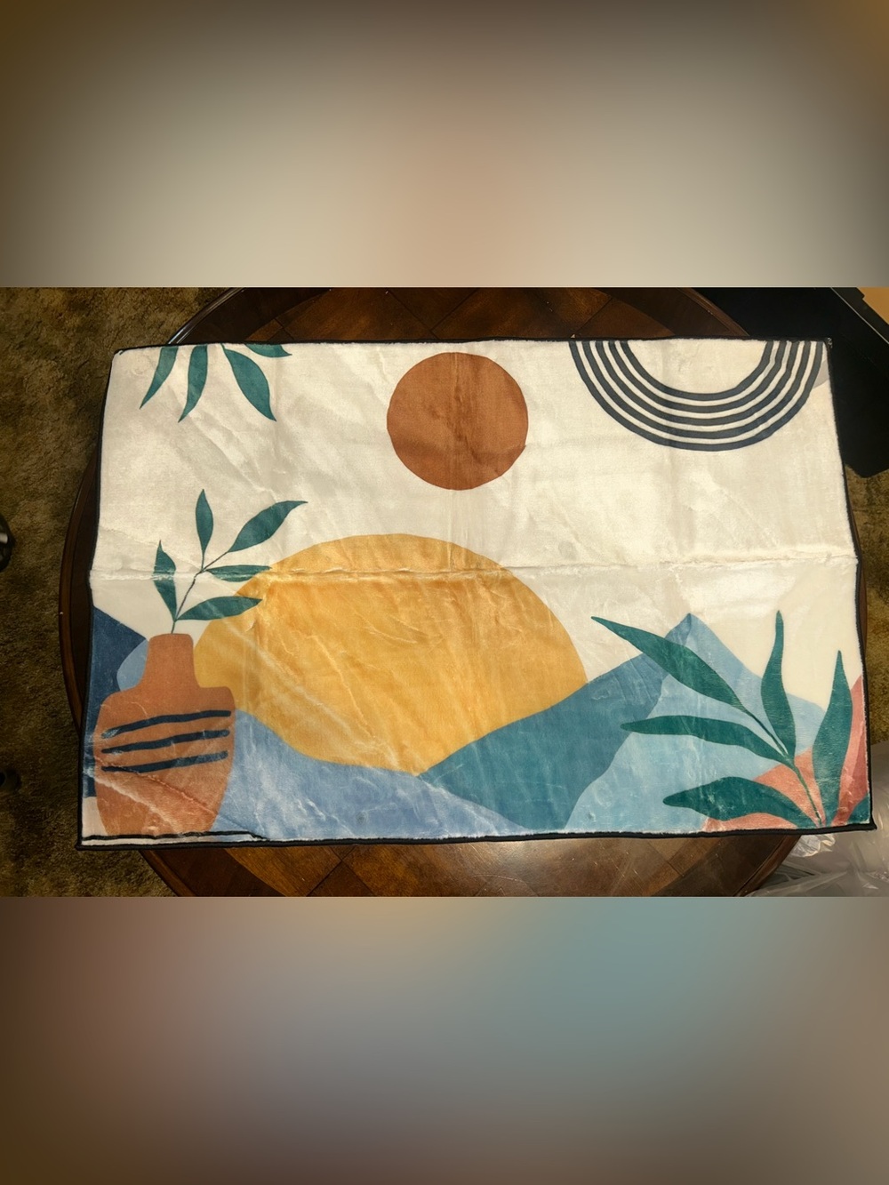 NEW Abstract Sun and Waves Beach Plush Rug - Yellow, Blue, Teal, Brown 2x3 ft